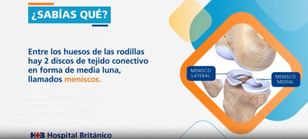 Meniscos - Patologías frecuentes